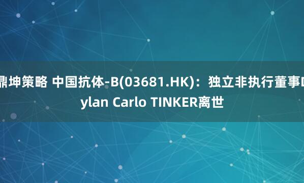 鼎坤策略 中国抗体-B(03681.HK)：独立非执行董事Dylan Carlo TINKER离世