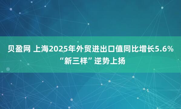 贝盈网 上海2025年外贸进出口值同比增长5.6% “新三样”逆势上扬