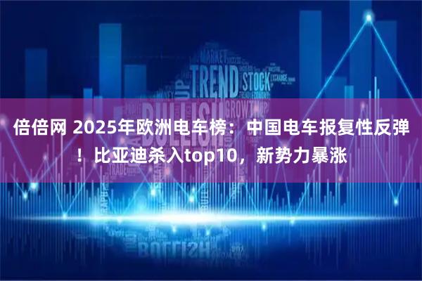 倍倍网 2025年欧洲电车榜：中国电车报复性反弹！比亚迪杀入top10，新势力暴涨