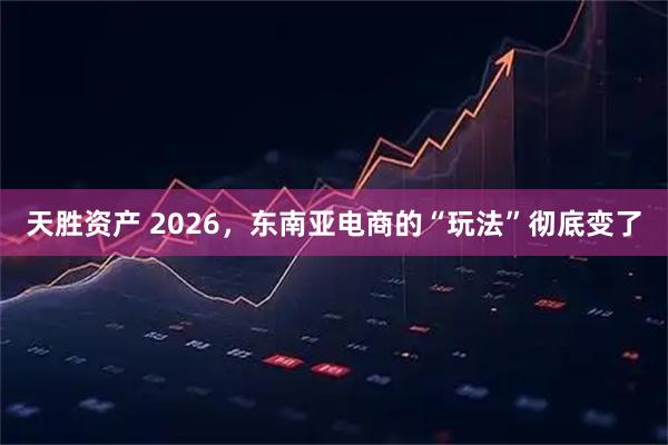 天胜资产 2026，东南亚电商的“玩法”彻底变了